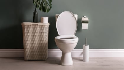 Inodoro blanco con tapa levantada, cesto de ropa beige con planta y papel higiénico, y escobilla de baño, en un baño.