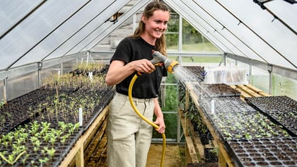 Mujer regando hileras de plantas jóvenes en un invernadero espacioso y luminoso.