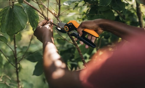 Fiskars Produkte ab 50 € kaufen und Gratis-Prämie bei BAUHAUS sichern