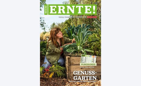Reiche Ernte Magazin