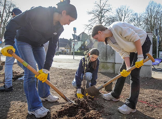 BAUHAUS Waldinsel für Bonn: Mehr Grün & Biodiversität in der Stadt