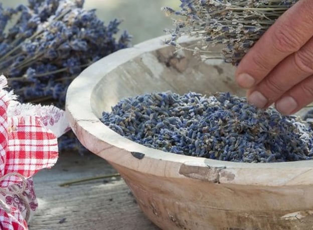 Paso 1: Quitar las flores de la lavanda de su tallo