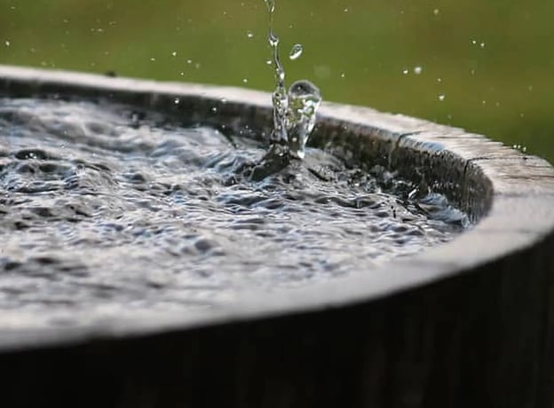 Beneficios de recoger agua de lluvia