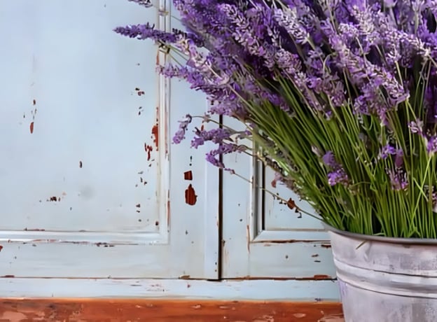 Lavanda