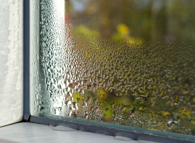 Tipps: So beurteilen Sie den Zustand Ihrer aktuellen Fenster