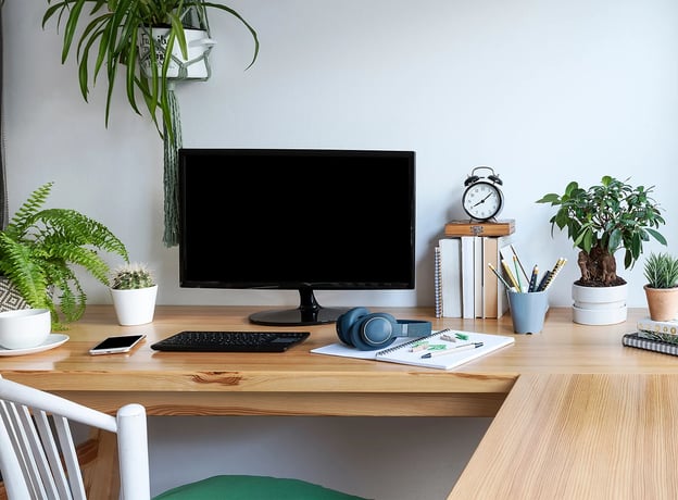 Pflanzen fürs Büro können mehr als nur schön aussehen