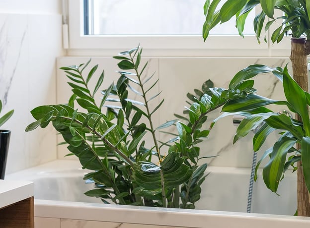 Pflanzen bewssern im Urlaub: Tipps fr den Balkon | BAUHAUS