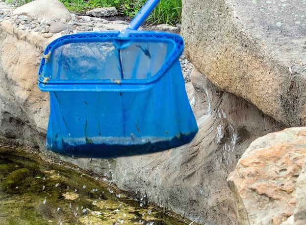 Teich pflegen mit wenig Aufwand: Anleitung & Tipps | BAUHAUS