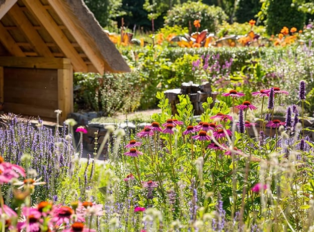 Schritt für Schritt zum Staudenbeet für Bienen