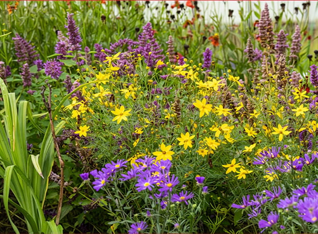 Ziergarten im September