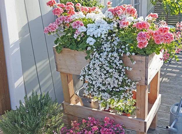 Hochbeet-Blumenkasten mit Landlust-Flair