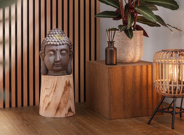 Welche Pflanzen sind gut im Yoga Retreat?
