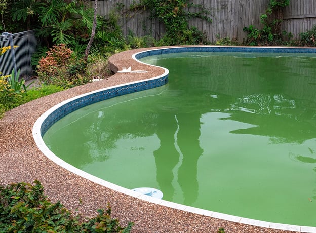 Warum wird Poolwasser trüb und milchig?
