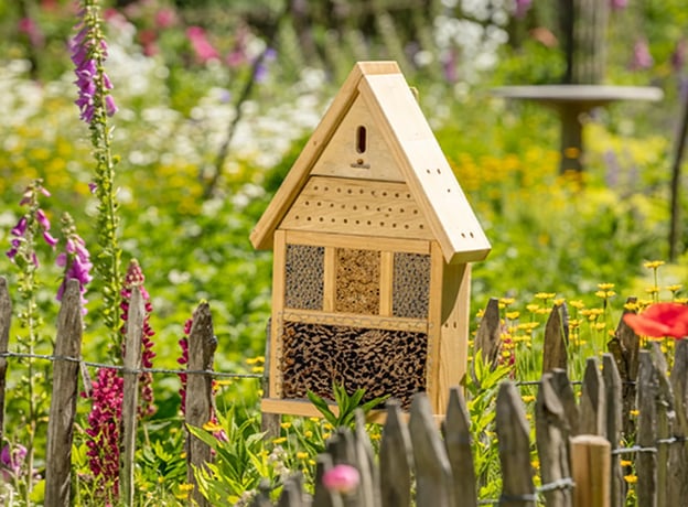 Wildtiere & Insekten im Mai
