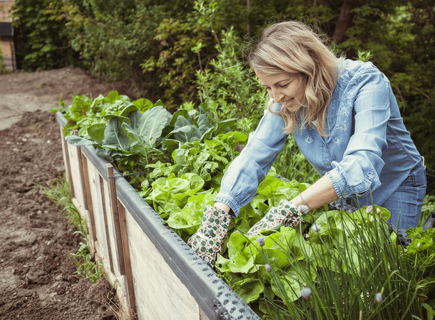 Das Beet im Garten