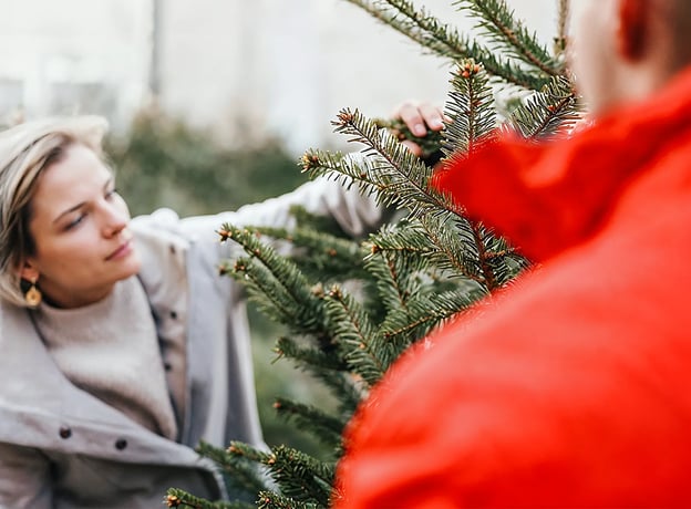 Gleicher Preis, gleiche Qualität: Weihnachtsbaumverkauf 2025 bei BAUHAUS