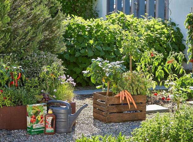 Biologische Dünger für den Gemüsegarten