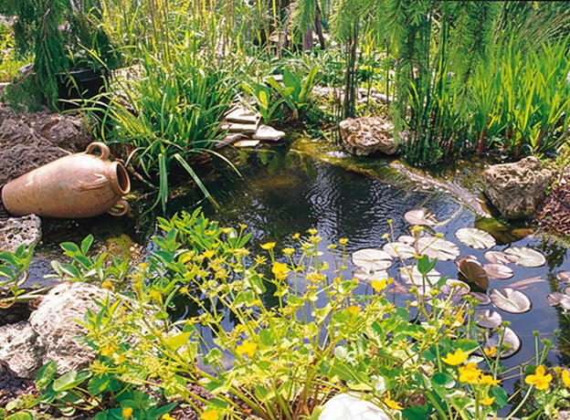 Gartenteich im Mai