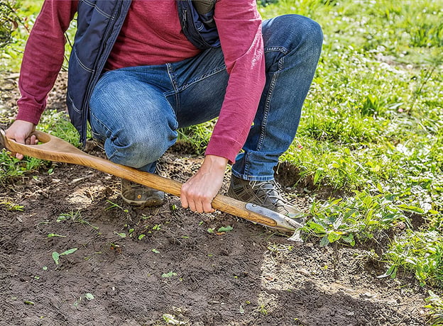 Bienenfreundliches Staudenbeet anlegen: So geht's