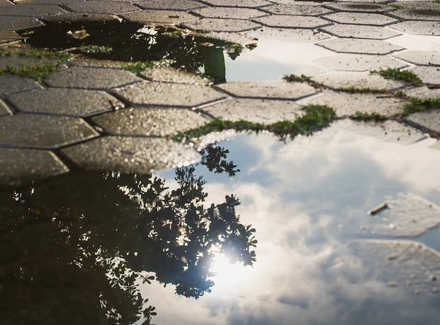 Wie wirken sich Gärten des Grauens auf die Umwelt aus?