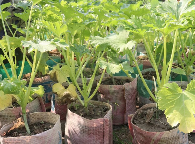 Vorbereitende Arbeiten im Garten