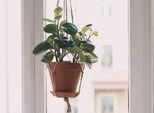 n/a