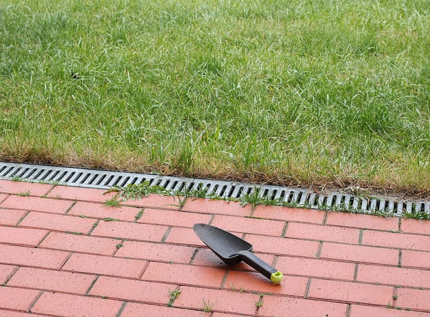 Warum Rasenkanten stechen?