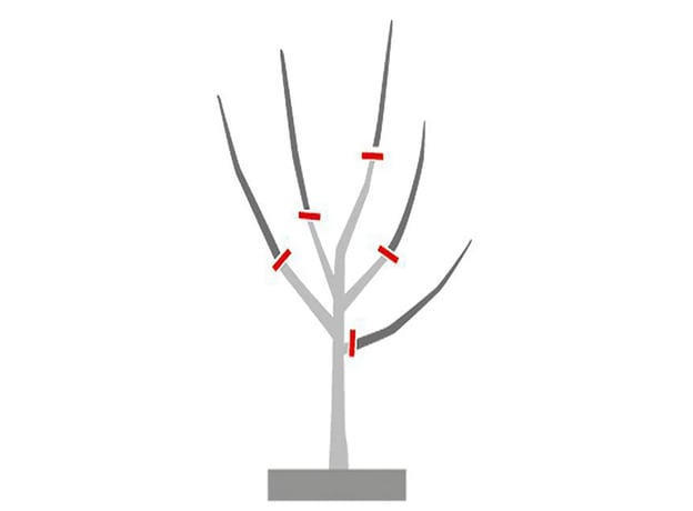 n/a