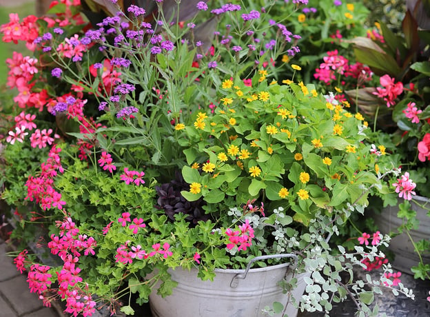 n/a