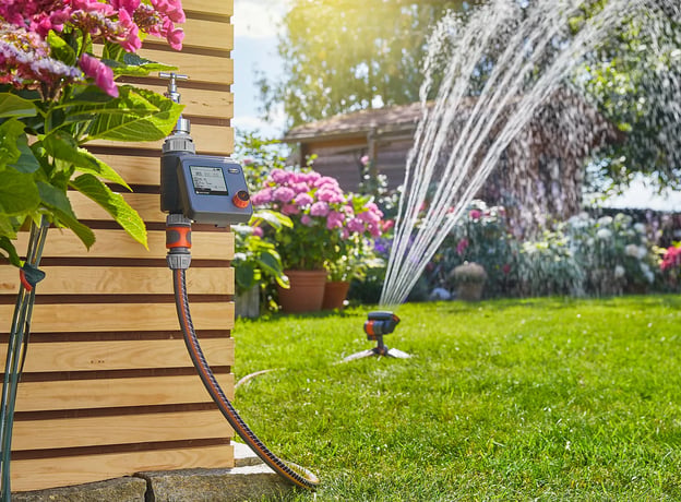 Der heiße Sommer im Garten