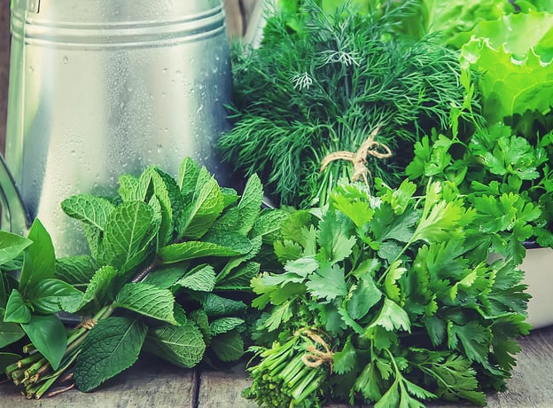 Kräuterbeet: Frische aus dem eigenen Garten