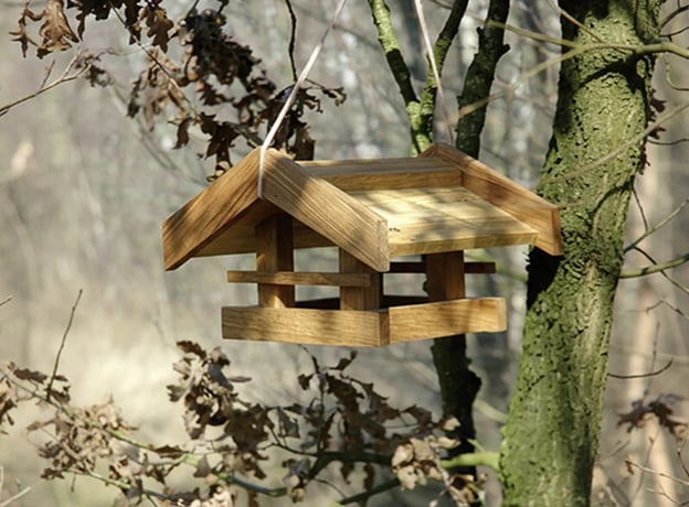 Planung & Vorbereitung