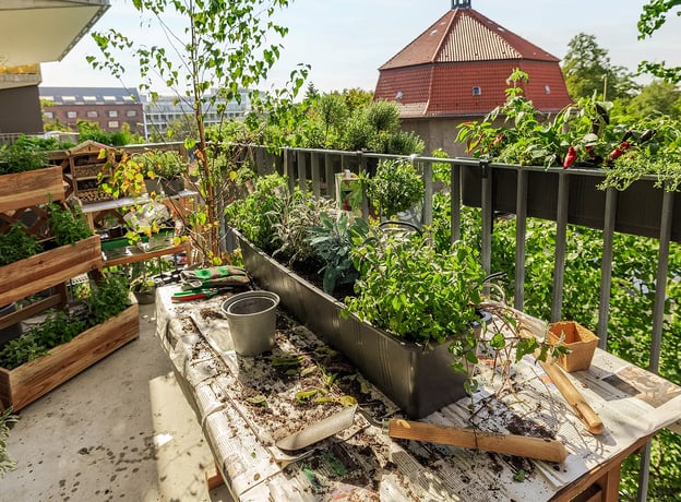 Prachtvolle Pflanzen am Balkon