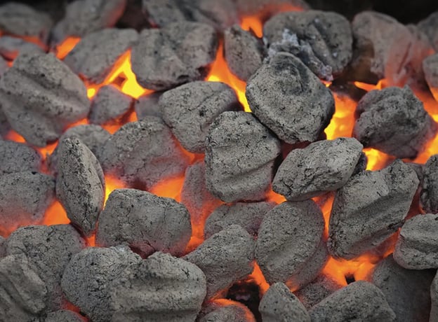 Die Grillkohle