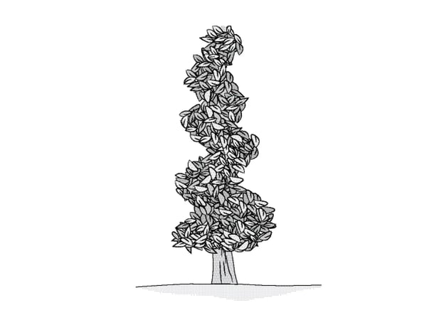 n/a