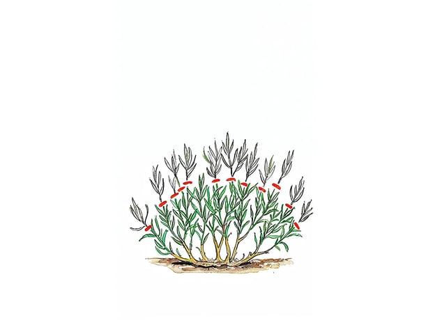 n/a