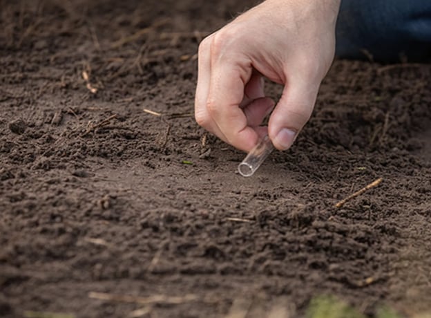 Braune oder gelbe Flecken im Rasen