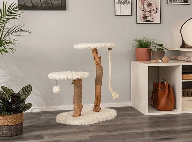 Katzengerechtes Spielzeug für einen aktiven Alltag