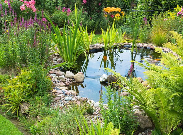 Gartenteich im Juli