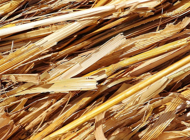 Stroh, Hanf und Wolle: Natürliche Dämmmaterialien