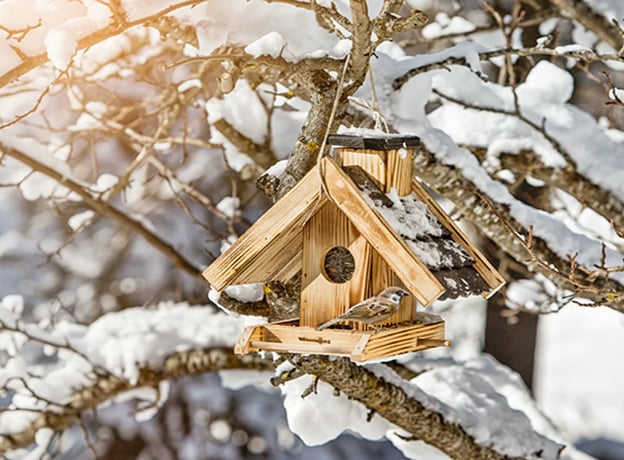 5. Wildtiere im Winter unterstützen