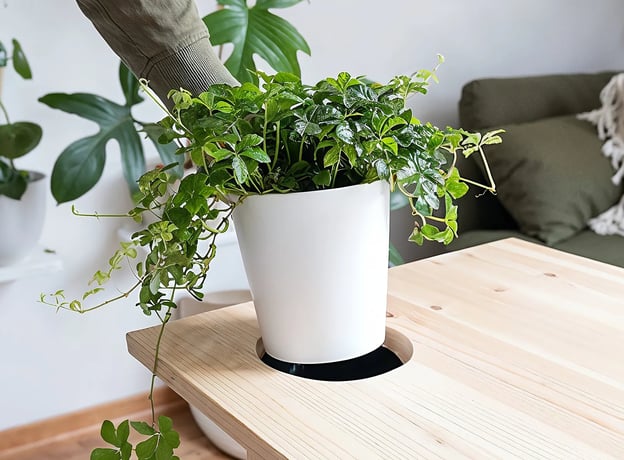 Das brauchen Sie für den DIY-Wohnzimmertisch