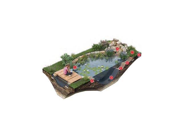 Der Gartenteich und seine unterschiedlichen Zonen