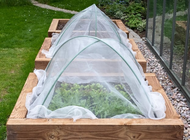 Bepflanzung und Pflege des Palettenhochbeets