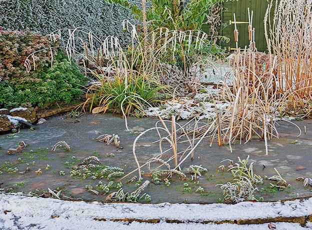 Gartenteich im November