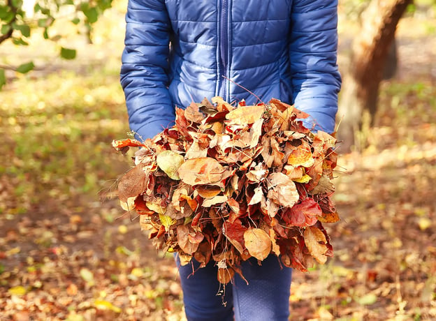 Gartenpflege im Herbst