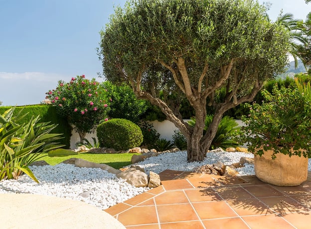 Mediterrane Steingärten – sonnige Oasen im eigenen Garten