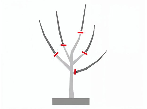 n/a