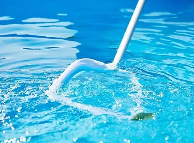 Sind Algen im Pool gefährlich?
