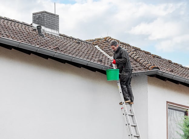 Äste und Zweige entfernen
